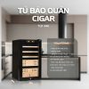 Tủ Cigar 300 điếu máy nén
